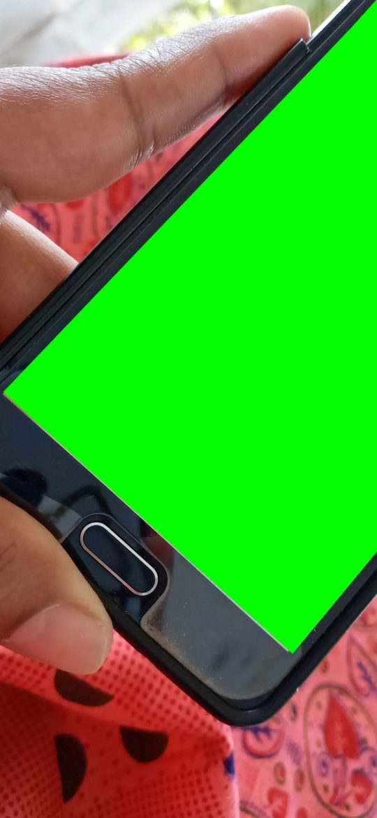 茉莉花 App 叶片排查界面截图，屏幕上并排展示发黄叶片实拍对照图与三项可能原因